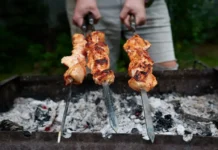 lyudmila buryakova rasskazala o bezopasnom shashlyke dlya dachi-ekaterinburgu-ru-0