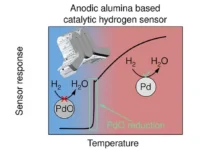 mfti i mgu uspehi kalinina i napolskogo s sensorom vodoroda-ekaterinburgu-ru-0