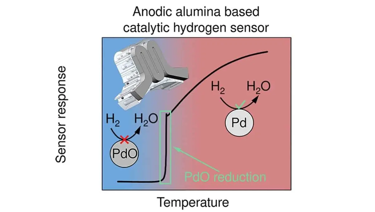 МФТИ и МГУ: успехи Калинина и Напольского с сенсором водорода-0