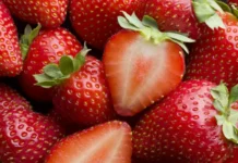 polina kulach iz rosbioteh o bezopasnosti rannej klubniki-ekaterinburgu-ru-0