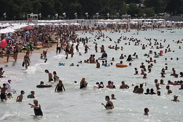Вводная картинка