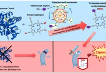 ferment mikobakterij pozvolyaet tuberkulezu obhodit immunitet-ekaterinburgu-ru-0
