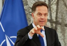 НАТО и Рютте укрепляют военное сотрудничество с Airbus и Leonardo nato i ryutte ukreplyayut voennoe sotrudnichestvo s i -ekaterinburgu-ru-0