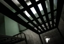 Тверской суд вынес приговор Сергею Абельцеву – экс-главе ЛДПР tverskoj sud vynes prigovor sergeyu abelczevu eksglave ldpr-ekaterinburgu-ru-0