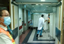 v gonkonge uspeshno boryutsya s krysinym virusom gepatita e-ekaterinburgu-ru-0