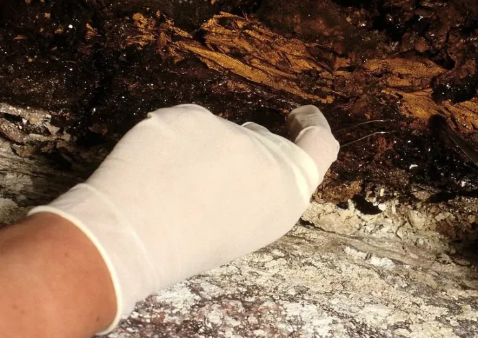 v paderborne arheologi obnaruzhili bloknot i shelkovuyu bumagu-ekaterinburgu-ru-0