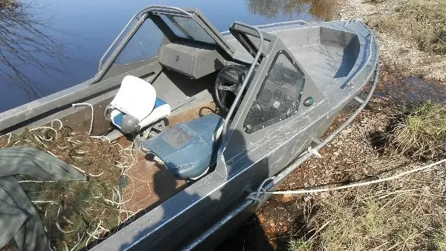 Рыбак посадил краснокнижного осетра на привязь у своего дома в Хабаровском крае