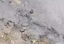 posle ataki bpla v yaroslavskoj oblasti poshyol neftyanoj dozhd-ekaterinburgu-ru-0
