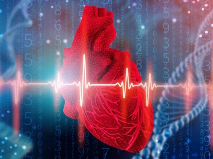 algoritm dlya personalizirovannoj diagnostiki serdcza ot romana syunyaeva i mfti-pux-su-175267397300-0