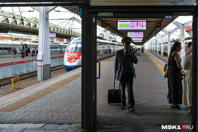 Москвичи скупили практически все билеты на поезда до Санкт-Петербурга из-за коллапса в аэропортах | Источник: Артем Устюжанин / MSK1.RU