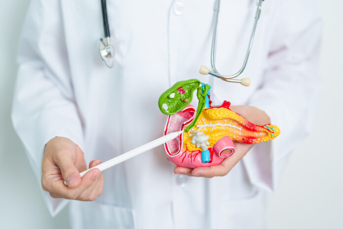 belok 4 pobedit diabet novoe otkrytie zashhitit vashu podzheludochnuyu-pux-su-175309049000-0