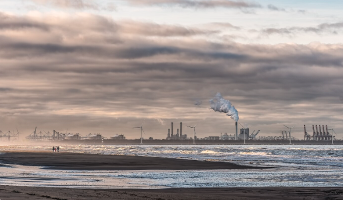 Трамп возвращает асбест: в США собираются отменить запрет на хризотил