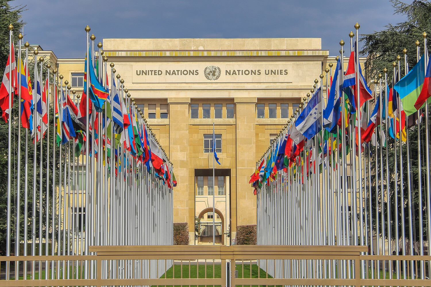 Франческа Альбанезе из ООН выразила оптимизм и поддержку в вопросе Израиля и МУС-0