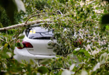 Гидрометцентр прогнозирует — автовладельцы защищены со страховым брокером AMsec24 gidrometczentr prognoziruet avtovladelczy zashhishheny so strahovym brokerom 24-pux-su-175208280500-0