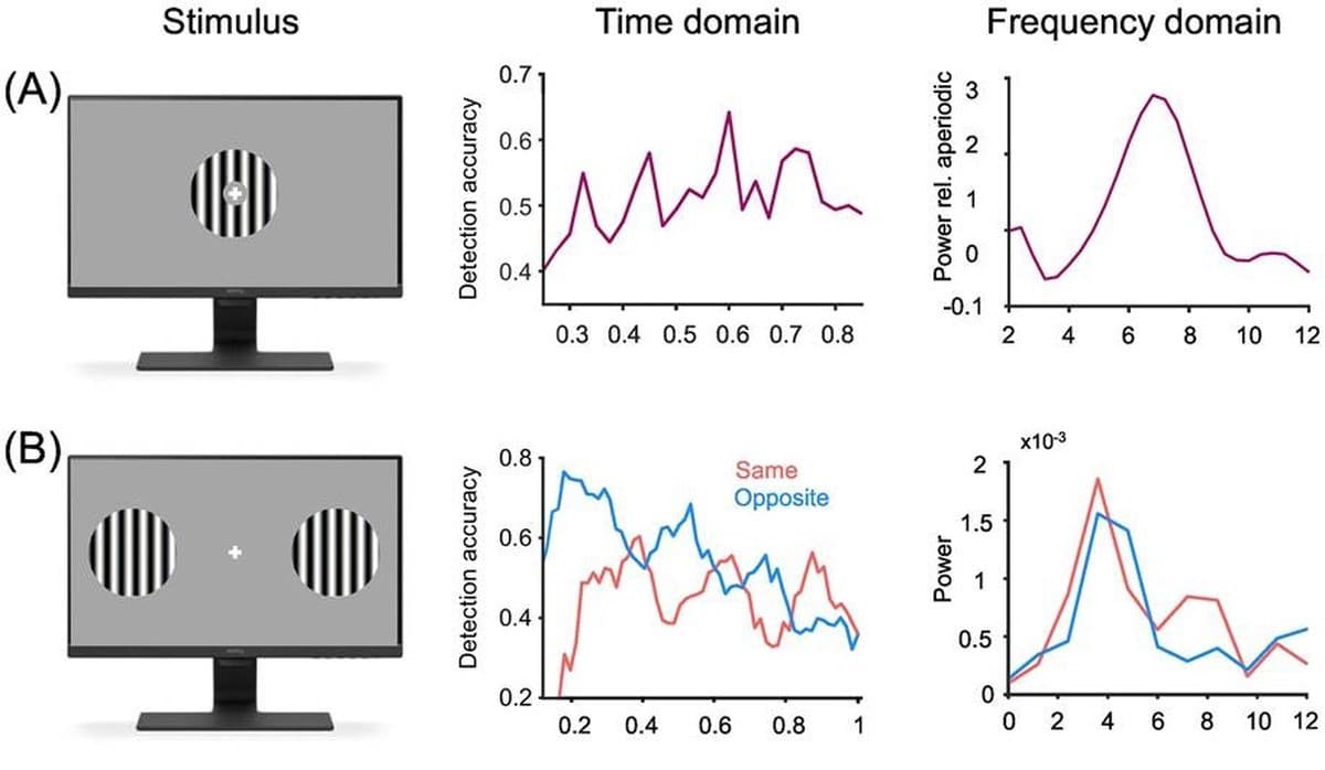 Исследование Еврейского университета в Иерусалиме о работе внимания-0