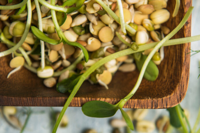 issledovanie kitajskogo selskohozyajstvennogo universiteta pokazyvaet chto lyuteolin i hrizoeriol v pshenicze 269 101 i 30 pomogayut prodlit zhizn -pux-su-175241646500-0