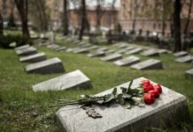 История Рональда Уина Дэвиса, легенды Ньюкасла и обладателя Кубка УЕФА istoriya ronalda uina devisa legendy nyukasla i obladatelya kubka uefa-pux-su-175276461800-0