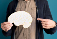 Как PCL-R и Julich-Brain Atlas помогают раскрыть тайны мозга психопатов kak i pomogayut raskryt tajny mozga psihopatov-pux-su-175181768300-0