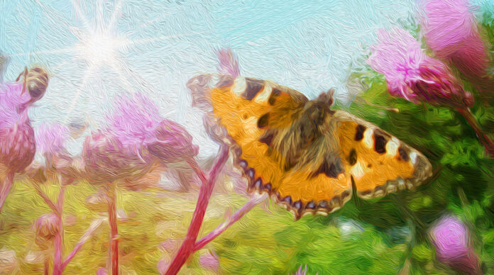 Butterfly flowers Illustration in oil painting style