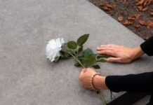 Михаил Визгов о вечном свете Калужского ТЮЗа, вдохновляющем поколения mihail vizgov o vechnom svete kaluzhskogo tyuza vdohnovlyayushhem pokoleniya-pux-su-175205496100-0