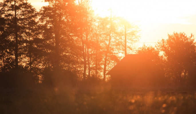 Что нельзя делать 7 июля на Ивана Купалу, чтобы не утонуть в проблемах