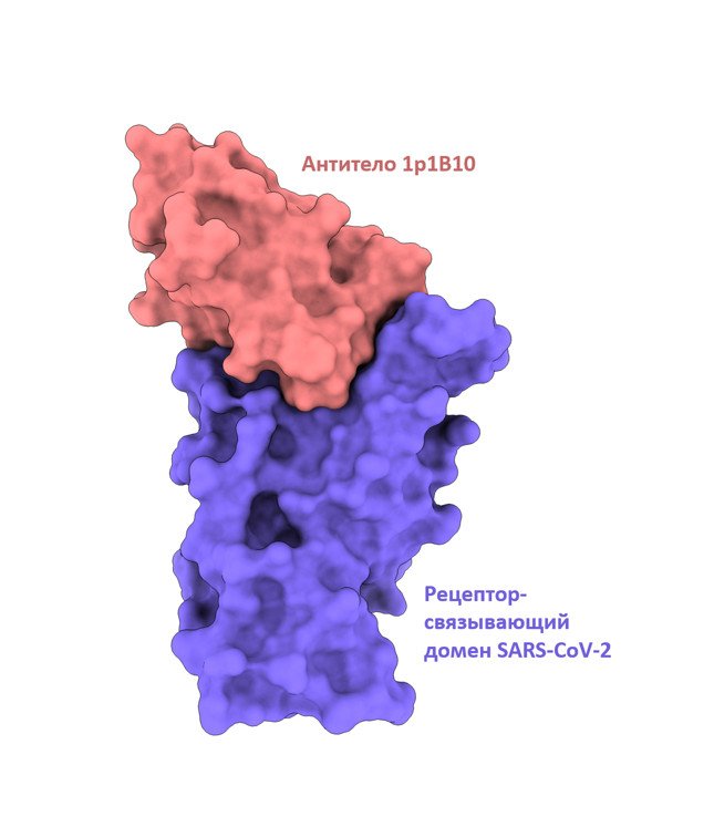 scientificrussia.ru
