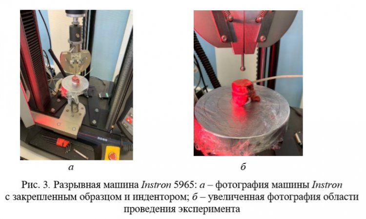 scientificrussia.ru