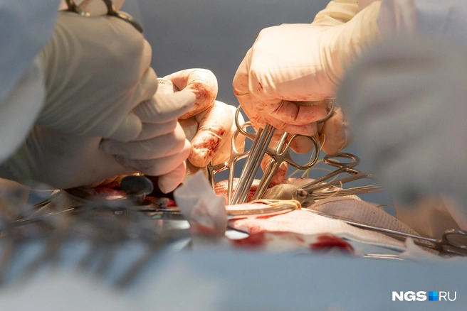 Как много людей | Источник: Вера Сальницкая / NGS.RU