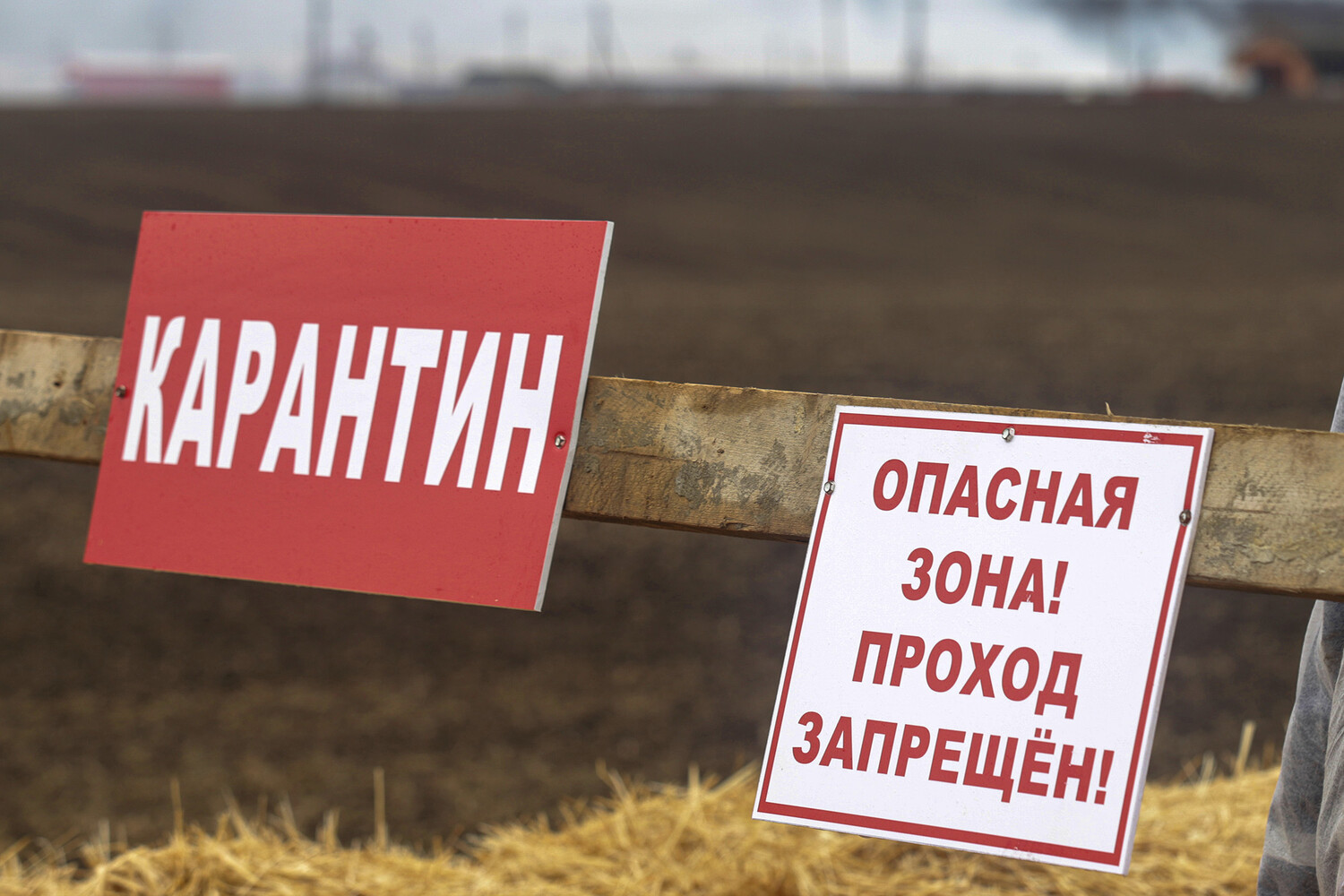 Открытие Эске Виллерслев в журнале Nature раскрывает истоки зоонозов-0