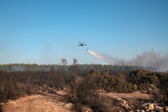 redzhep erdogan o prichinah pozharov v turczii i kontrole nad situacziej-pux-su-175171260200-0