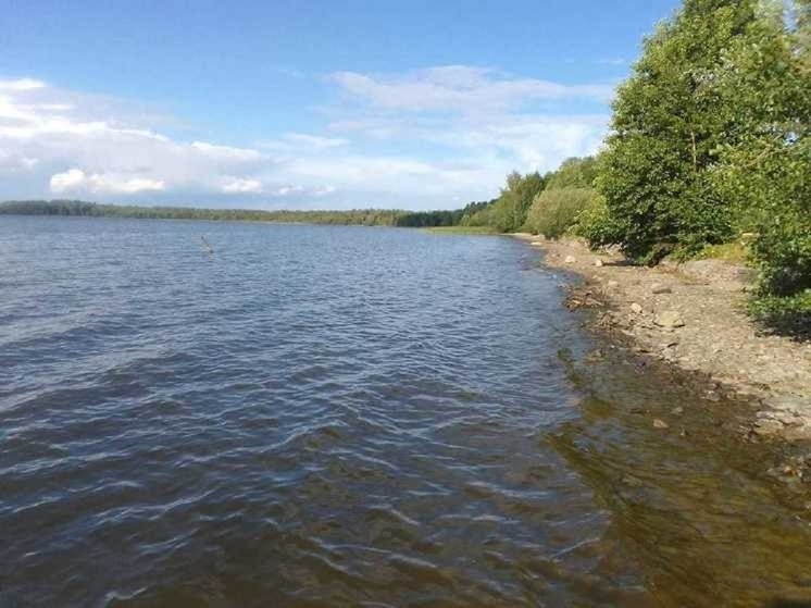 Свердловчане жалуются на рвоту и высокую температуру после купания на Балтыме