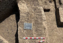 Секреты Имета раскрыты Манчестерским университетом о 2500-летнем городе Египта sekrety imeta raskryty manchesterskim universitetom o 2500letnem gorode egipta-pux-su-175195470400-0