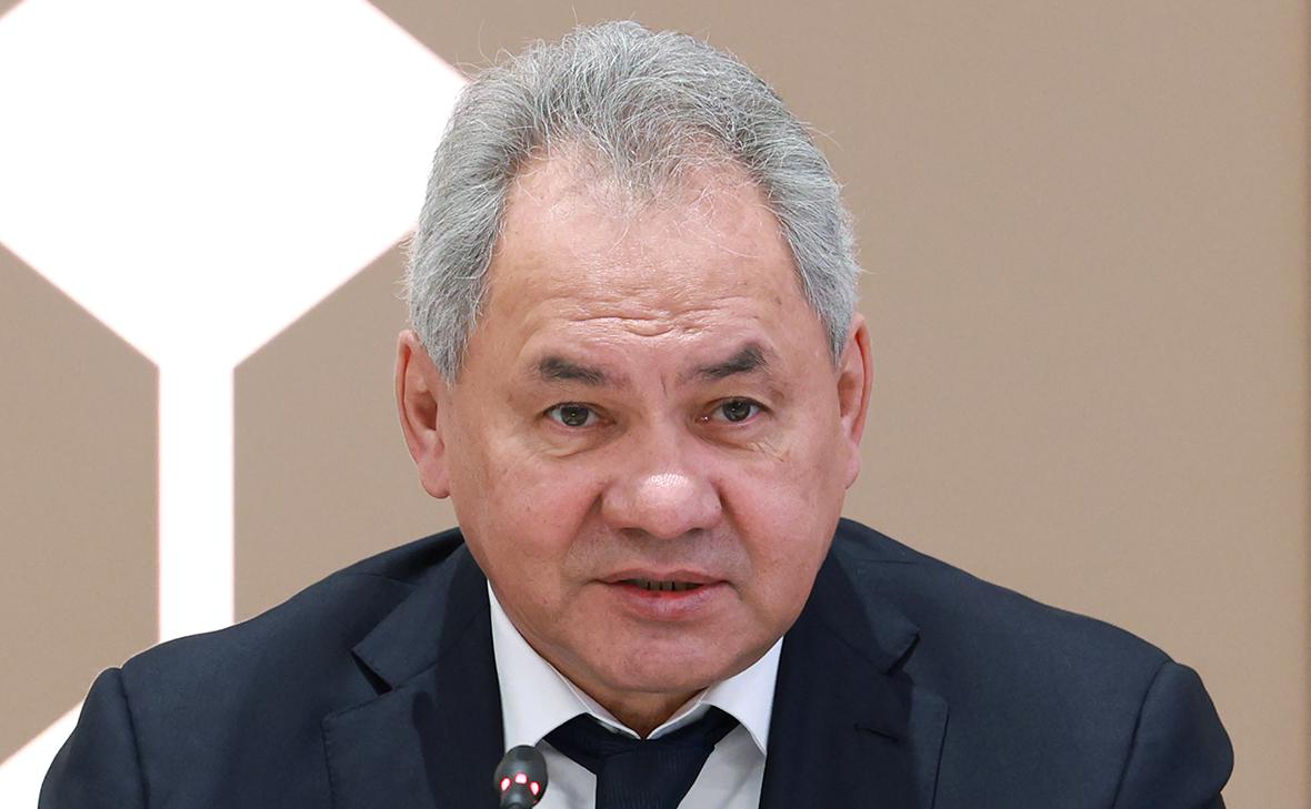 Сергей Шойгу (Александр Щербак / ТАСС)