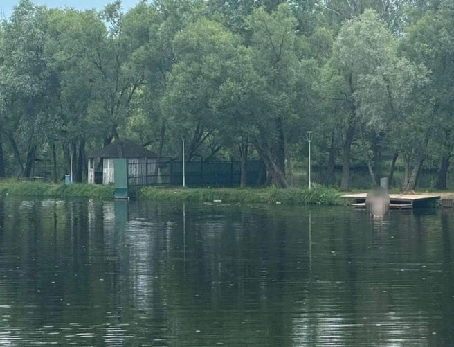 12-летняя погибла в реке Десне в Новой Москве. Прямо напротив спасательного пункта МЧС | Источник: Прокуратура Москвы / T.me