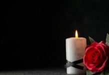 Свет гитары Даниэля Ладемахера и вечный ритм Kleptomania с Herman Brood svet gitary danielya lademahera i vechnyj ritm s -pux-su-175164972200-0