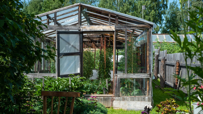 DachaTimeSummerOutsideGardeningInRussia