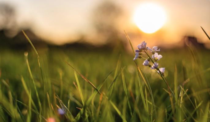 Что нельзя делать 12 июля, в день Петра и Павла, чтобы не поругаться с семьей