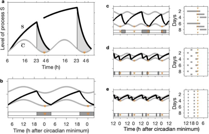 universitet surreya issledoval matematiku sna detej i podrostkov-pux-su-175325012900-0