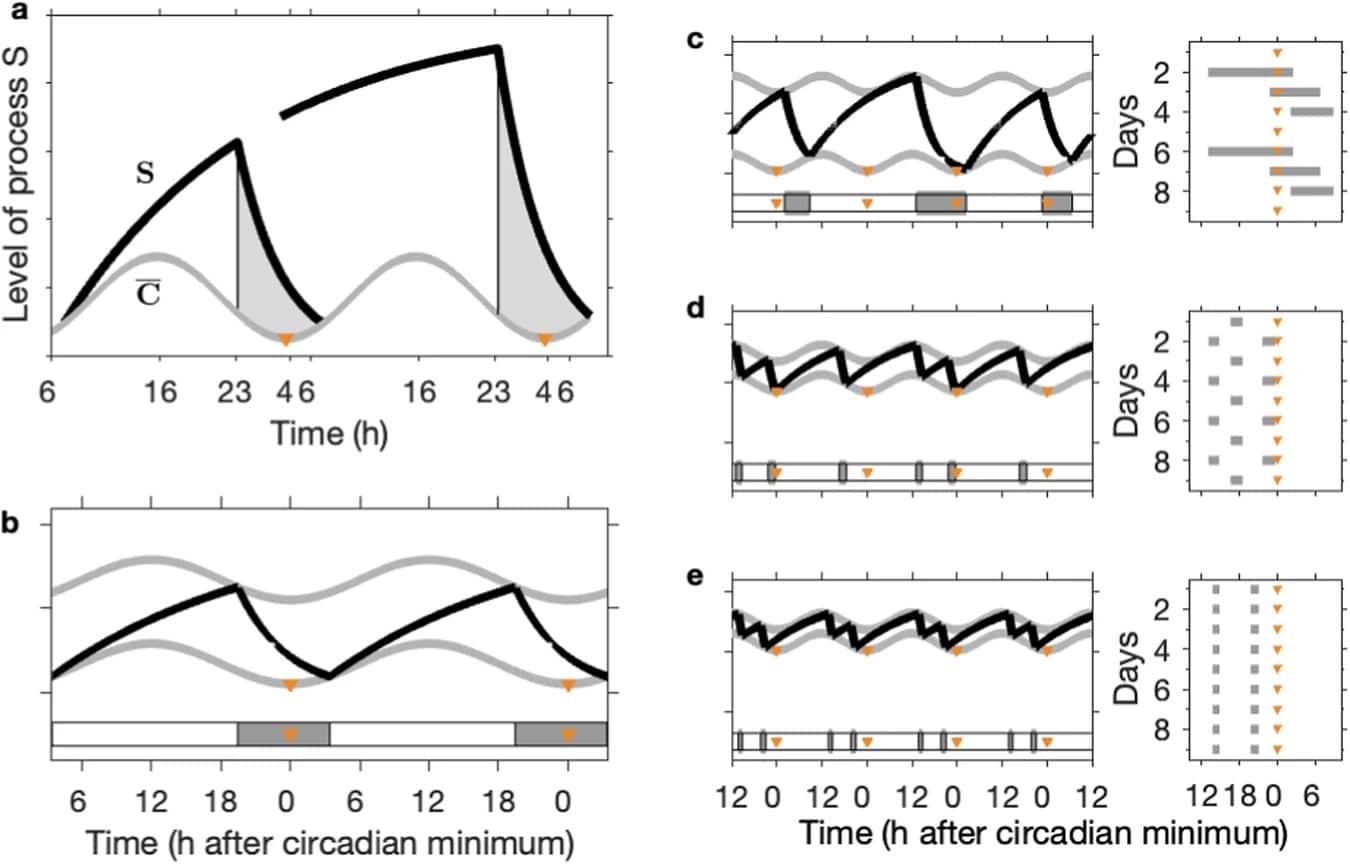 Университет Суррея исследовал математику сна детей и подростков-0
