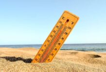 Heat and Health Research Centre Университета Сиднея разрушает мифы о жаре и детях universiteta sidneya razrushaet mify o zhare i detyah-pux-su-175265652100-0