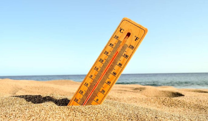 Ученые опровергли миф о том, что дети хуже переносят жару, но есть нюанс