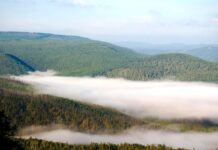 vyacheslav kapustin i komanda tusur sovmestno s institutom optiki atmosfery so ran razrabotali novoe reshenie dlya videniya skvoz tuman-pux-su-175187947300-0