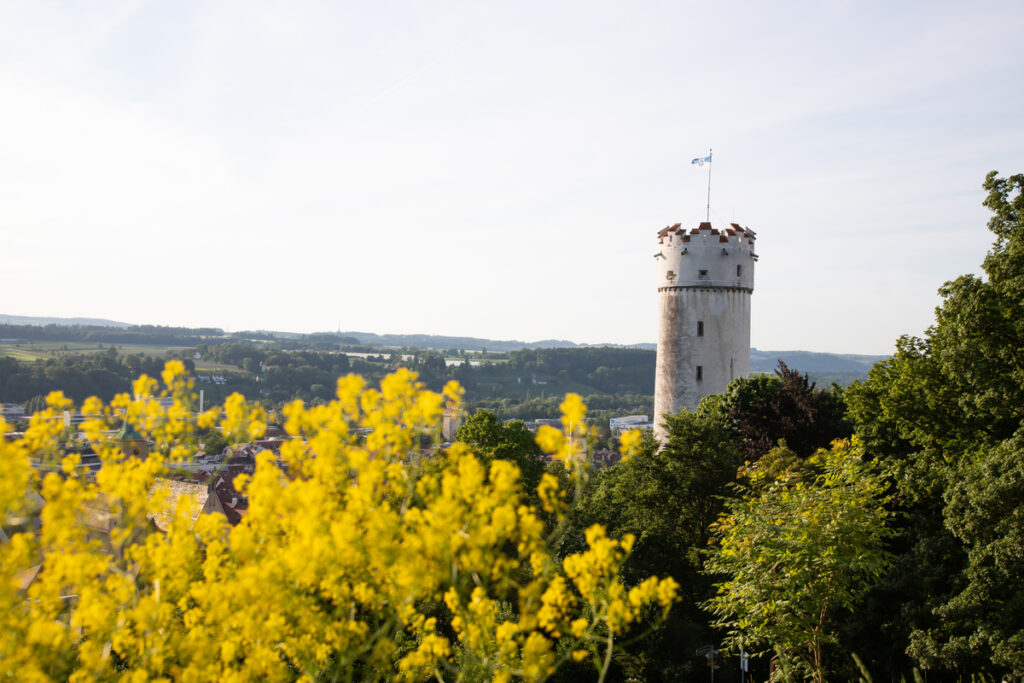 Башня в лесу