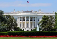 donald tramp obnovil interer belogo doma izmeniv portrety obamy i bushej-pux-su-0