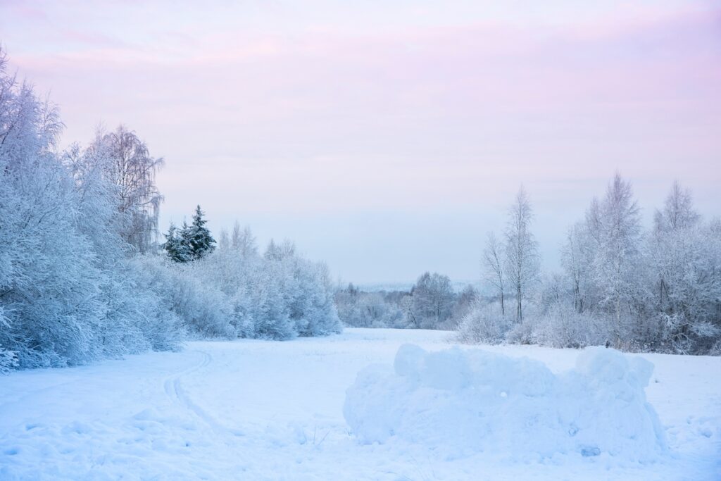 красивый зимний пейзаж с полем белого снега