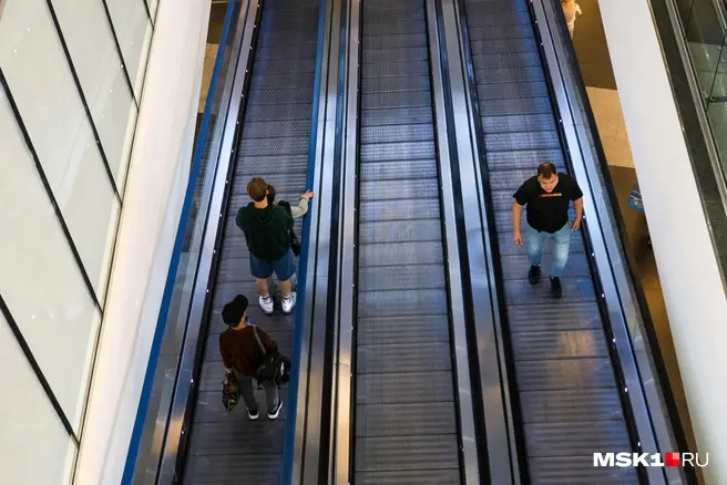 Разбираемся в тонкостях обновленного законодательства | Источник: Артем Устюжанин / MSK1.RU