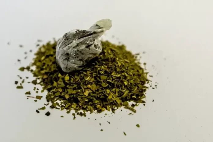 policziya primorya v operaczii mak2025 uspeshno unichtozhila desyatki narkoposevov-pux-su-0