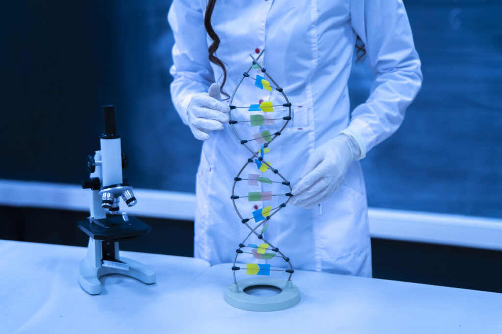 Профессор университета показывает модель ДНК в классе