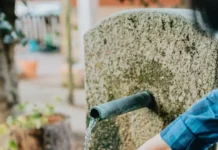 Роспотребнадзор и политех Перми представили экологичную очистку водоемов rospotrebnadzor i politeh permi predstavili ekologichnuyu ochistku vodoemov-pux-su-0