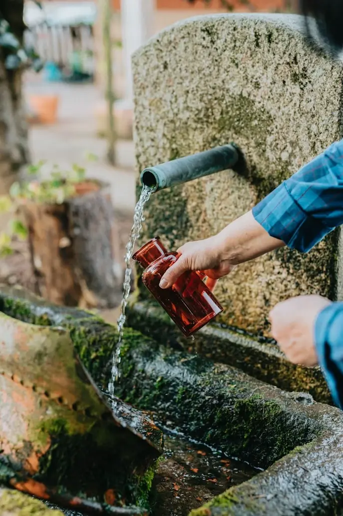 Роспотребнадзор и политех Перми представили экологичную очистку водоемов-0
